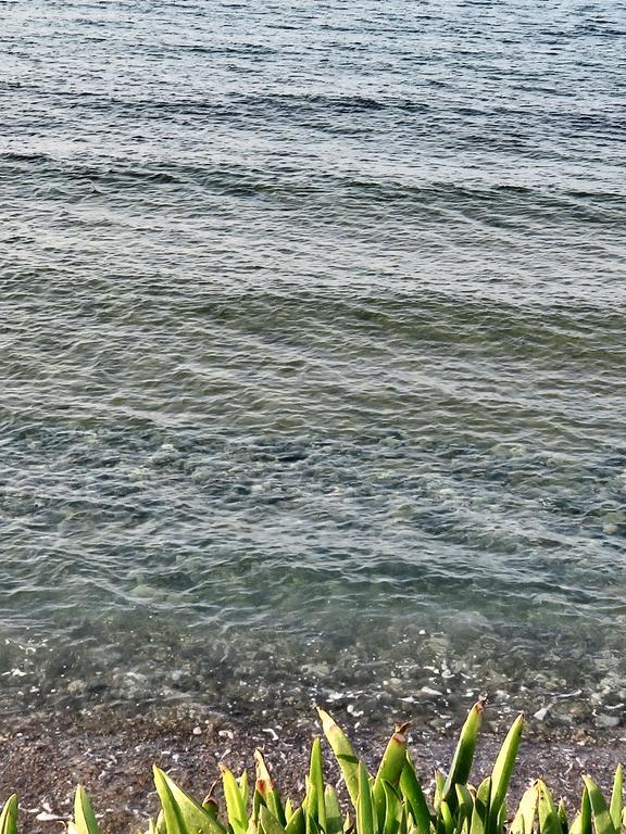 Frosso'S Sea Apartments Kokkini Hani Εξωτερικό φωτογραφία